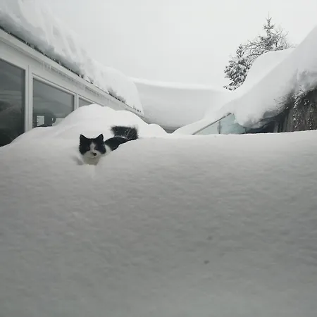 Appartementhaus Klammer * Sillian