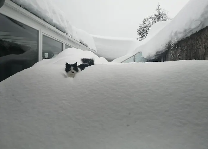 Appartementhaus Klammer * Sillian